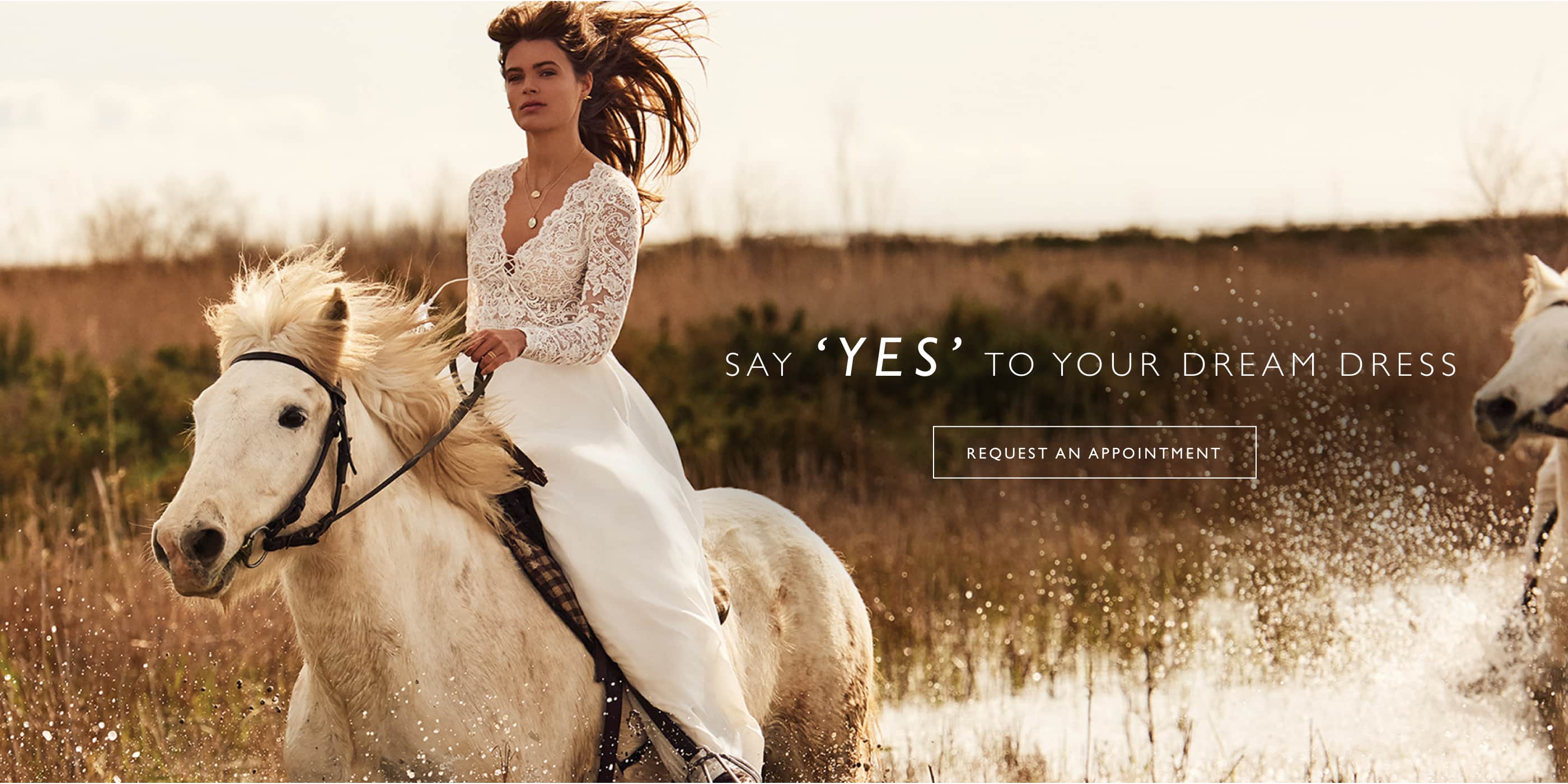 Find your dream wedding dress at XO Bridals. Desktop image.